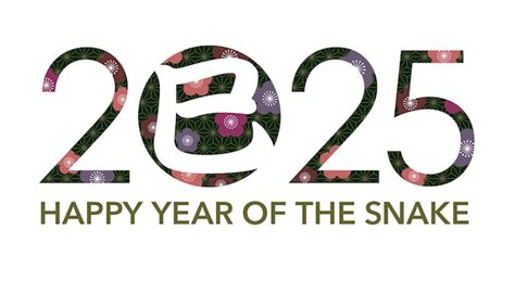 year  celebration vectors illustrations