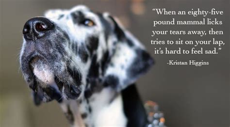 26 Inspirational Dog Quotes To Brighten Any Dog Lovers Day