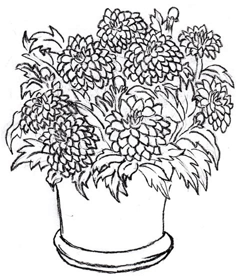 Plant Pot Drawing At Paintingvalley Explore Collection Of Plant