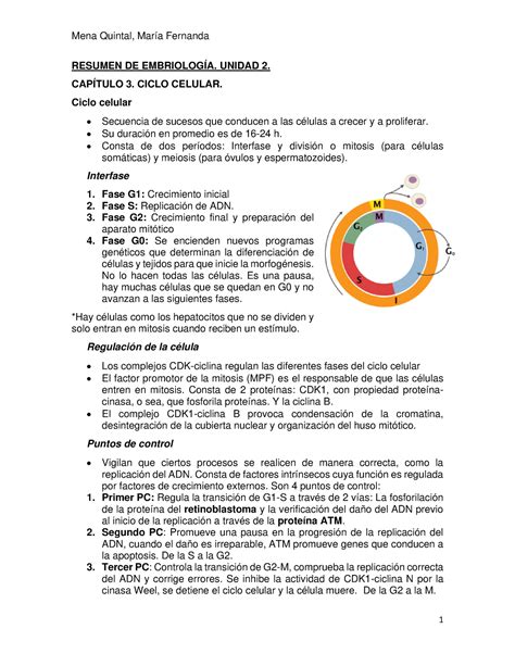 Resumen De E Mbriolog A Unidad Resumen De Embriolog A Unidad