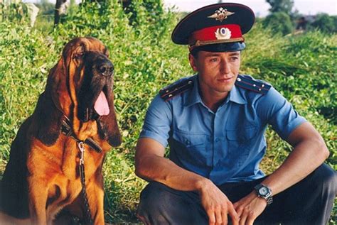 Участок (сериал, 2003) — Фильм.ру