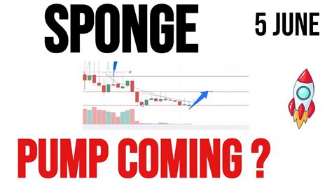 Sponge Coin Price Prediction Analysis June 2023 YouTube