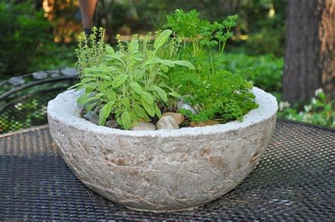 Diy Hypertufa Planter Cool Looking Planters For Your Garden