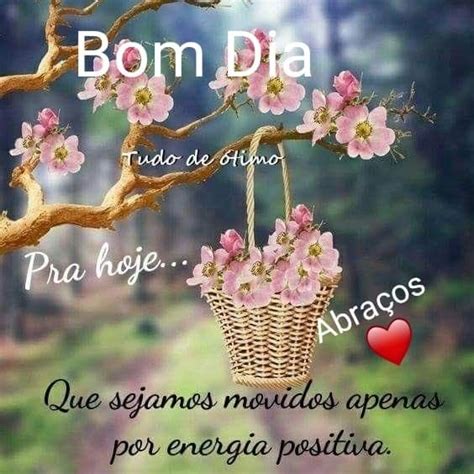 Pin De Aline Ramires Da Silva Em Bico De Croch Bom Dia Flores