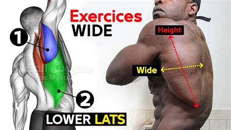 6 Best Exercise To Lower Lats workout (V-TAPER) - YouTube