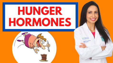 The Hunger Hormones Leptin And Ghrelin Oc Integrative Medicine