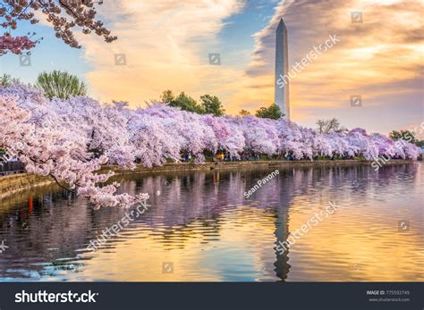 Washington Dc Usa Tidal Basin Washington Stock Photo Edit Now 775592749