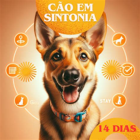 C O Em Sintonia A Arte Da Obedi Ncia Canina Em Dias Rafael Luiz