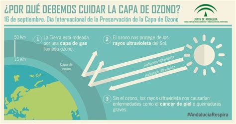 Por Qu Es Importante Cuidar La Capa De Ozono Colombia Verde