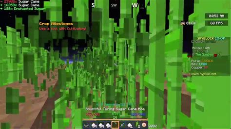 Hypixel Skyblock New Profile Speed Run Youtube