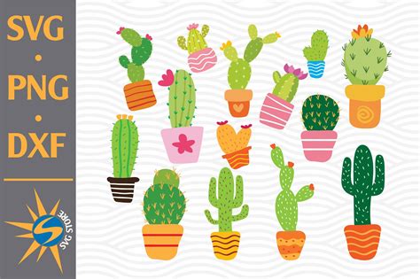 Cactus Svg Png Dxf Digital Files Include By Svgstoreshop Thehungryjpeg