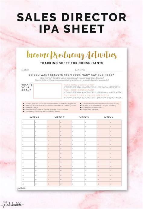 Director And Consultant Ipa Sheets Mary Kay Business Pages