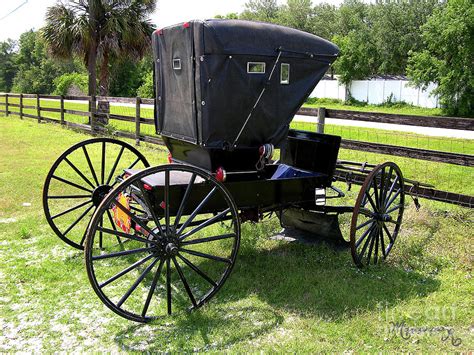 Amish Carriage Photograph by Mariarosa Rockefeller - Pixels