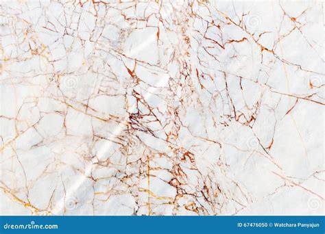 The Light Marble Texture Stock Photography | CartoonDealer.com #143529008