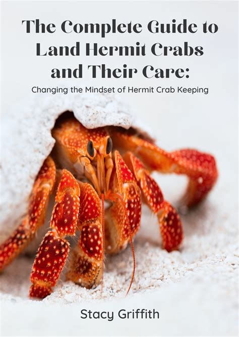 The Complete Guide To Land Hermit Crabs And Their Care Changing The