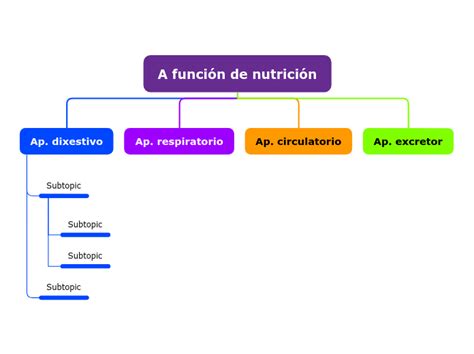 A Funci N De Nutrici N Mind Map