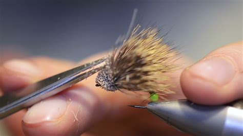 Fly Tying Egg Laying Streaking Caddis With Christoffer Johansen YouTube