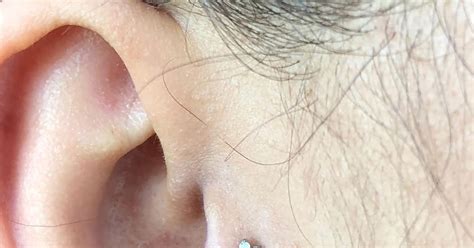 Nine Body Piercing Blog Tragus With Anatometal Flower End Cubic