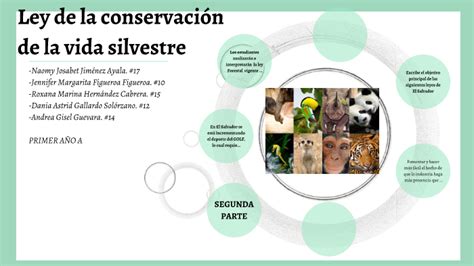 Ley De La Conservación De La Vida Silvestre El Salvador By Jenny Naomy