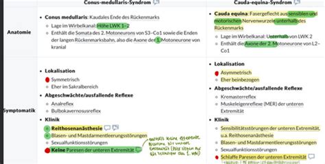 Neuro Last Minute Karteikarten Quizlet