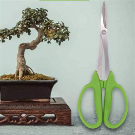 Jual Gunting Pruning Bonsai 210 Mm Alat Potong Ranting Bonsai Stek