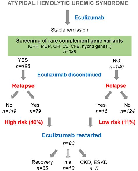 Eculizumab Every Fifteen Days Forever Kidney International Reports