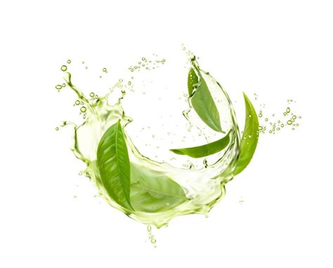 Green Herbal Tea Wave Splash With Leaves Flow 16143094 Vector Art At