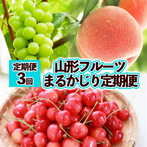 【定期便3回】山形フルーツ まるかじり定期便 ｜ 産地直送 旬 2023年～2024年発送 Fy23 623jalふるさと納税jalの