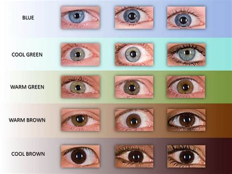 Different human eye colors - ferylv
