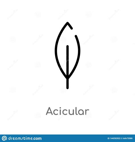 Icono Acicular Del Vector Del Esquema L Nea Simple Negra Aislada