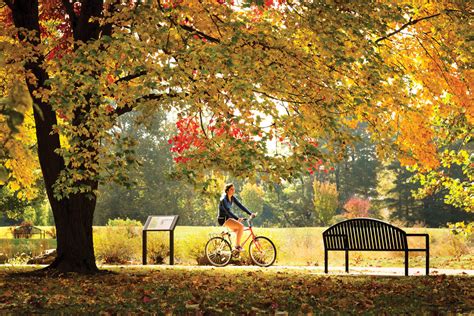 The Big Picture University Of Illinois Arboretum University Of