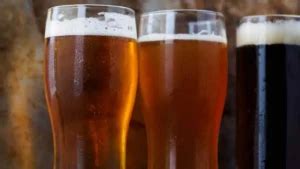 Diferencias Lager Y Ale Diferencias Y Comparativas