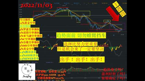 20221103趋势面前 切勿螳臂挡车 选择比努力更重要但是机会来了一定要坚决 出手 ！出手！出手！年度策略：总收益 1294 美股