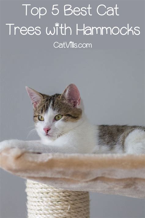 Top 5 Best Cat Trees with Hammocks | Cool cat trees, Cool cats, Cat ...