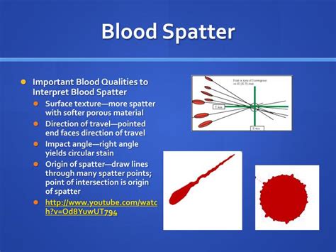 Ppt Forensic Serology Powerpoint Presentation Id2526886