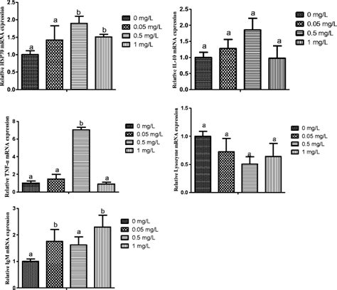 Relative Gene Expression Of Hsp Il Tnf Lysozyme And Igm In