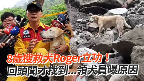 8歲搜救犬roger立功！ 回頭聞才找到領犬員曝原因 播吧boba Ettoday新聞雲