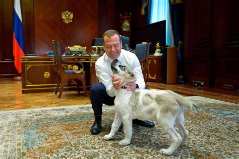 Turkmen Ruler Establishes Holiday To Honour Local Dog Breed