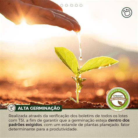 Boa Safra cumpre todos os requisitos para um tratamento de excelência