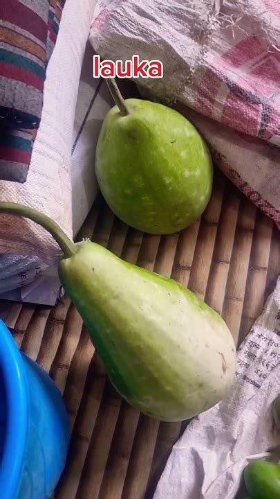 Mangoes From Home Jhapa Ko Koseli घरको आँप Spring Season Kingvof