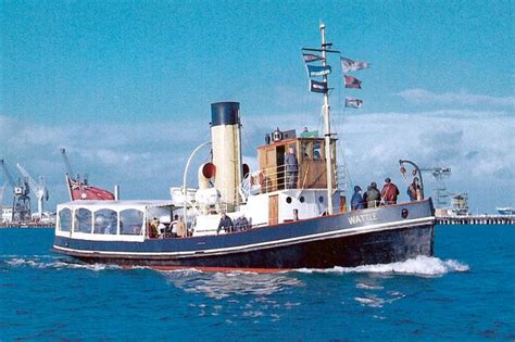 Steam Tug Wattle