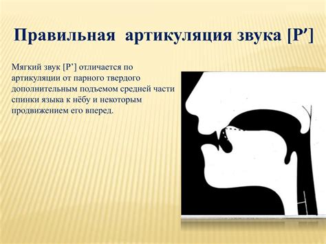 PPT - Правильная артикуляция сонорных звуков PowerPoint Presentation ...