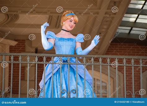 Cinderella Disney World New Dress