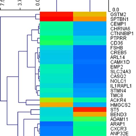 Heat Map Generated By Hierarchical Clustering Of Differentially Download Scientific Diagram