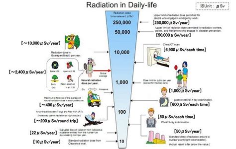 History And Facts Behind How Nuclear Weapons Work Survival Mastery