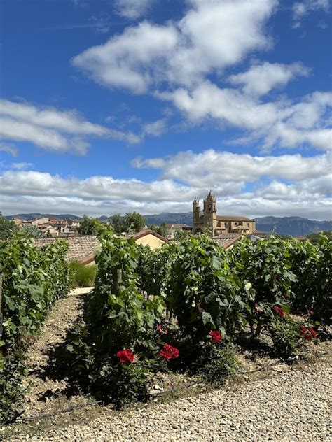 Ruta por La Rioja Alavesa en 2 días NATWILLYFOG