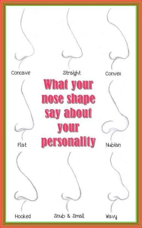 The Shape Of Your Nose Tells A Ton About Your Personality Nose