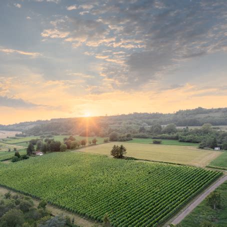 Vins Mousseux Igp En Passant Par La Lorraine Conf D Ration Des