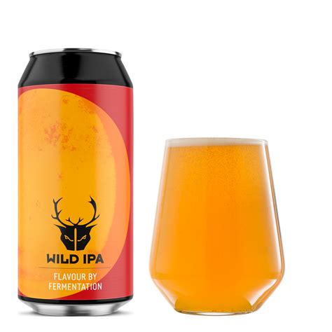 Ipa Beer Case Mixed Case Deals Wild Beer Co