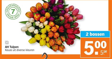 Ah Tulpen Aanbieding Bij Albert Heijn